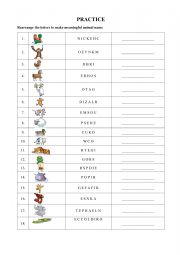 English Worksheet: Animal
