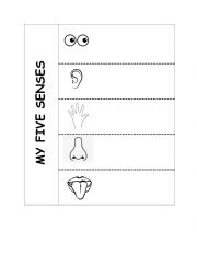 English Worksheet: Mi five senses 