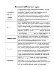 English Worksheet: Environmental Issue Essay 