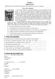 English Worksheet: test