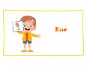 English Worksheet: Parts of the face