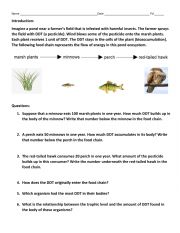 Biomagnification and Bioaccumulation worksheet