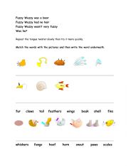 English Worksheet: Animal Body Parts