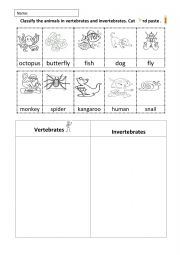 Classify into vertebrates or invertebrates. Cut and paste.