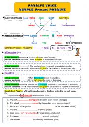  Passive voice: Simple Present 