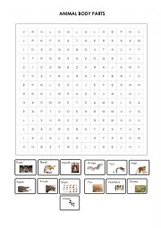 English Worksheet: ANIMAL BODY PARTS WORDSEARCH