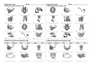 Wild animals body parts test