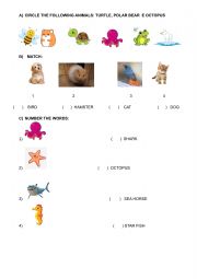 English Worksheet: Animals and Sea Animals