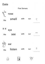 English Worksheet: Five Senses