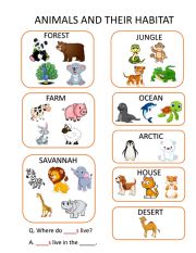English Worksheet: Animals and Their Habitats