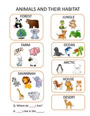 Animals and Their Habitats