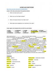 English Worksheet: Alpine Plant Adaptations