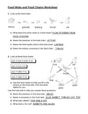 English Worksheet: Food Web and Food Chain