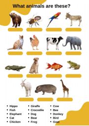 English Worksheet: What animals are these?