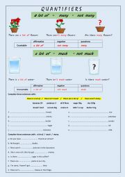 English Worksheet: QUANTIFIERS : A LOT MUCH MANY