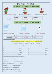 QUANTIFIERS : A LOT MUCH MANY