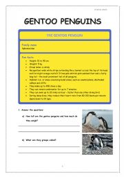 English Worksheet: Gentoo penguins reading and listening