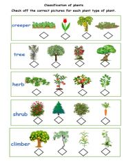 CLASSIFICATION OF PLANTS