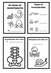 Invertebrates Lapbook