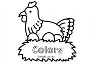 English Worksheet: color