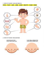 English Worksheet: Parts of the BODY