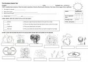 CIRCULATORY SYSTEM TEST 