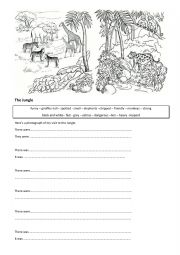 English Worksheet: There was There were - Animals in the jungle