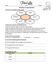 Parts of a plant_ reading comprehension 