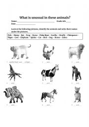 Unusual animals