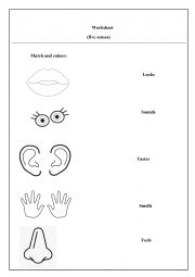 English Worksheet: five senses