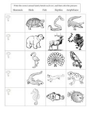 English Worksheet: animals