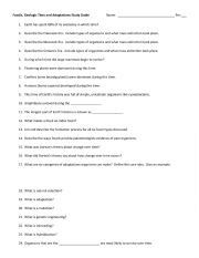 English Worksheet: Fossils