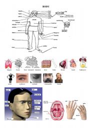 Parts of body