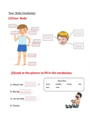 Body Vocabulary