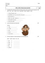English Worksheet: describing people