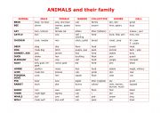 Animals and their Family