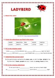 English Worksheet: Ladybird