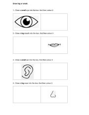 English Worksheet: Big Small