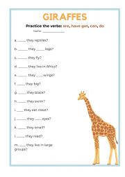 GIRAFFE - Practicing Can, Do, Have Got, Be