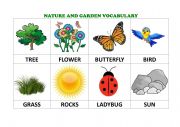 English Worksheet: NATURE AND GARDEN VOCABULARY
