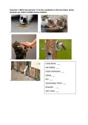 English Worksheet: Useful tips on how to teach a cat.