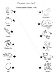 English Worksheet: Where does your food come from?