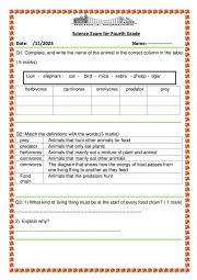 English Worksheet: science