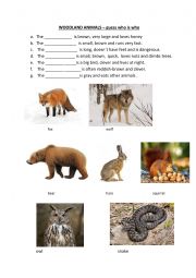 Woodland animals test - guess who is who