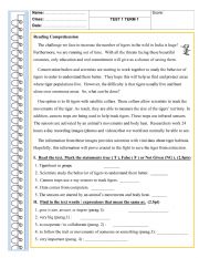 English Worksheet: TEST 