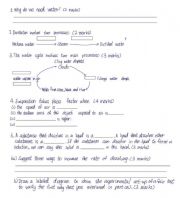 English Worksheet: Science 