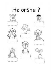English Worksheet: He or She worksheet