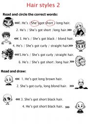 English Worksheet: Hair styles 2