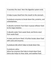 English Worksheet: Functions of Digestive System