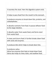 Functions of Digestive System